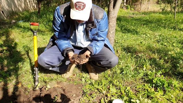 1 На копаю золота и алмазов (3).mp4 смотреть онлайн