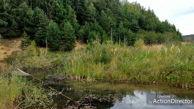 Москва. Большой люберецкий карьер. 9 августа 2020г. смотреть онлайн