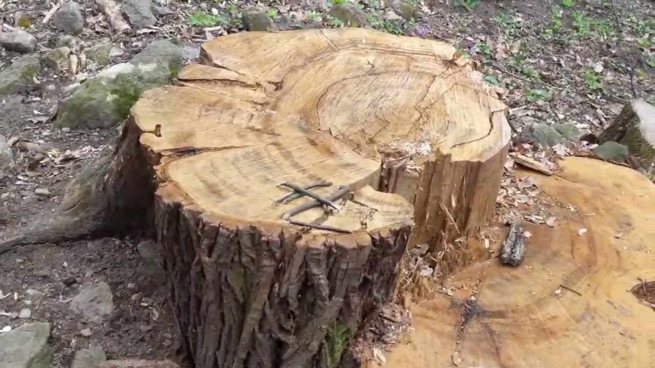 Штурм замка!# «Вишеград — замок заточения и смерти свирепого графа Влада Цепеша (Дракулы).