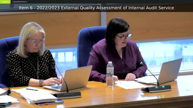 Risk and Audit Scrutiny Committee смотреть онлайн