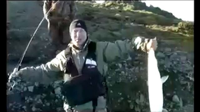 Таймыр.flv смотреть онлайн