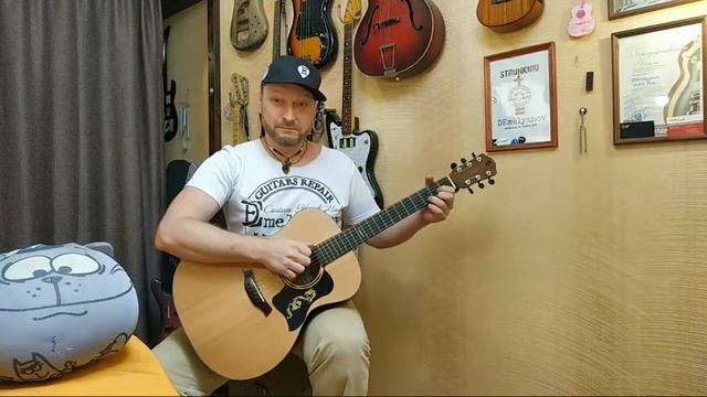 Трансакустическая гитара своими руками DEmelyanov