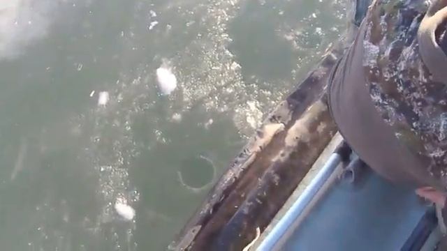 Видео с Камчатки от владельца СВП Бриз 420 22S