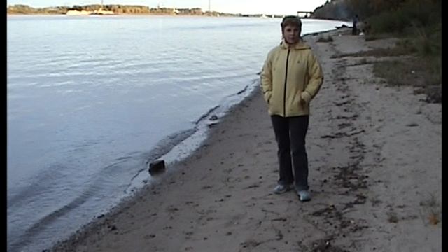 Бревно 2008 г смотреть онлайн