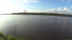 Рыбалка на реке ЧУЛЫМ. Часть 2. Первые лещи пойманы!.mp4