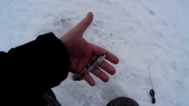 рыбалка в глухозимье с подводной камерой смотреть онлайн