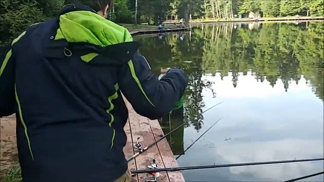 ОБЗОР НОЧНЫХ ПОИМОК С НИЖНЕГО ВОДОЁМА, Клёвое место(Лосиный остров) смотреть онлайн