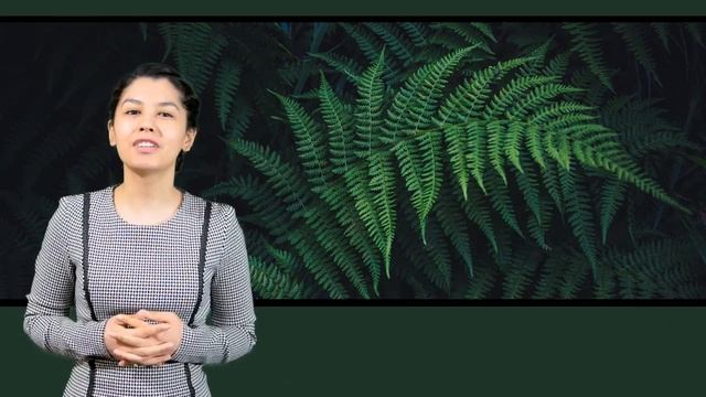 Влияние окружающей среды на наше здоровье - 5 Минут для вашего здоровья - 16.04.2020 смотреть онлайн