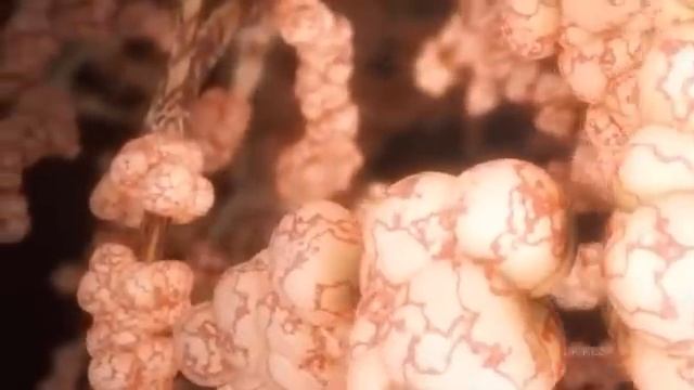 Fluticasone смотреть онлайн