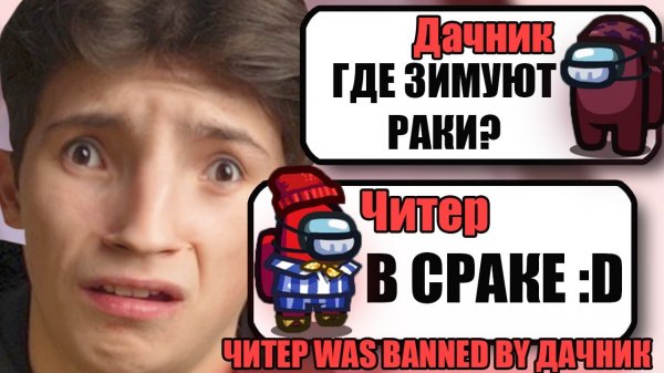 САМЫЕ ТУПЫЕ ЧИТЕРЫ В АМОНГ АС #33