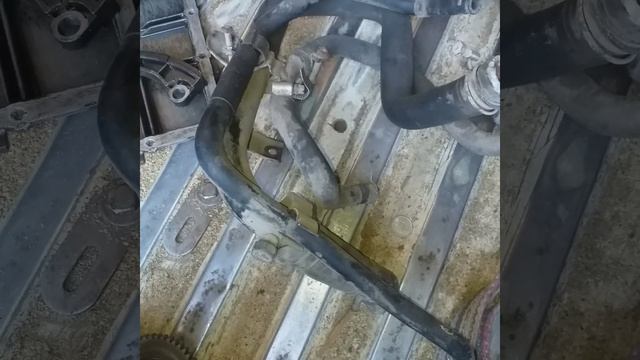 HÒRLANGAN CHANGAN смотреть онлайн