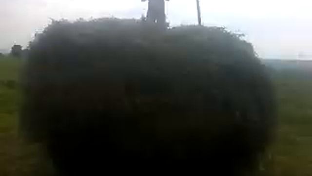 Мій маленький помічник грузить сіно, на віз від коня. смотреть онлайн