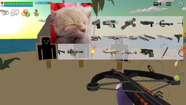 Учу своего кота играть в чикен ган смотреть онлайн