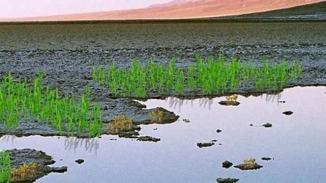The CHILLING TALE of the Ordovician-Silurian Mass Extinction (The Great Dyings Part One) смотреть онлайн