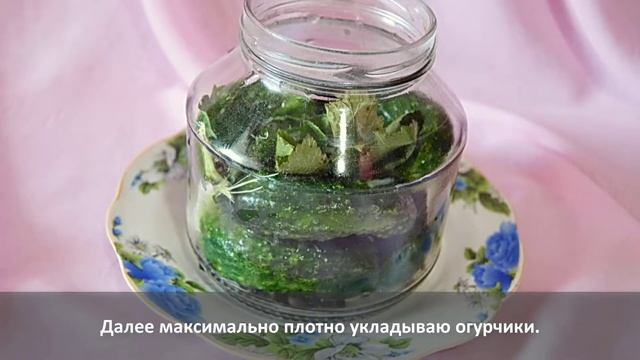 Соленые огурцы смотреть онлайн