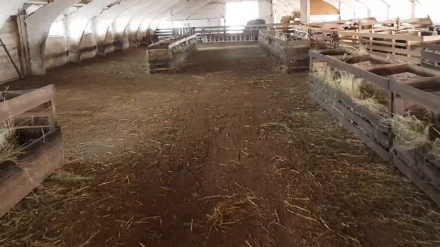 Окот 2021 г. смотреть онлайн