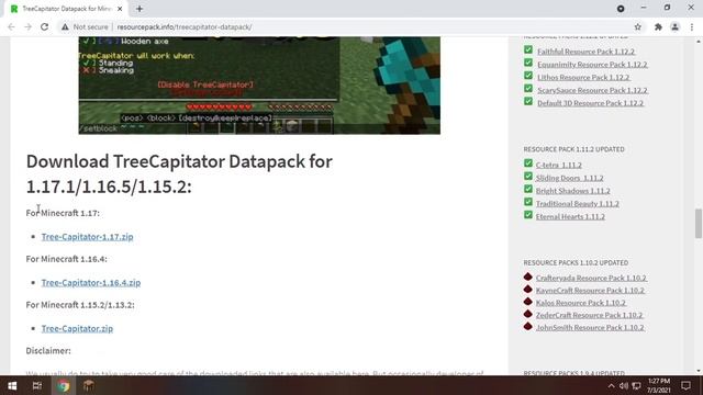 TreeCapitator DataPack 1.17.1 for Minecraft Spotlight - Installation, Gameplay смотреть онлайн