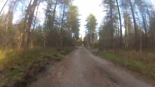 Cube LTD Pro 29 Hardtail.