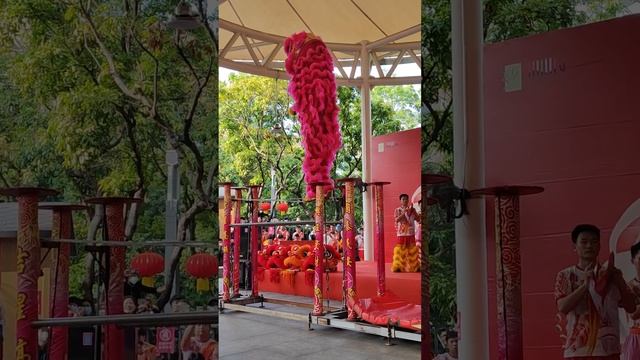 Танец льва шоу на Китайский новый год 2023,Lion Dance,Chinese New Year 2023，Shenzhen,China,Китай смотреть онлайн