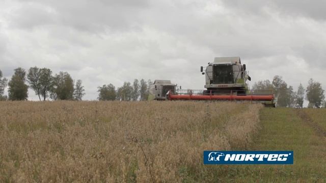 Отзыв о шинах Nortec Красноярск