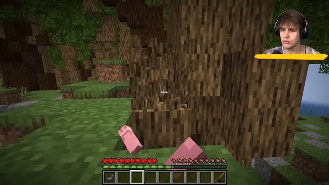 PŘEŽIL jsem 99 LET v Minecraftu! смотреть онлайн