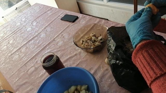 Подготовка чеснока и лукочеснока Рокомболь. смотреть онлайн