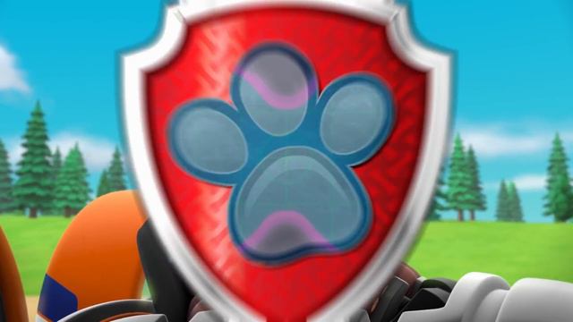 Paw Patrol | ¡1 HORA De Grandes Rescates Animales! | Nick Jr. En Español