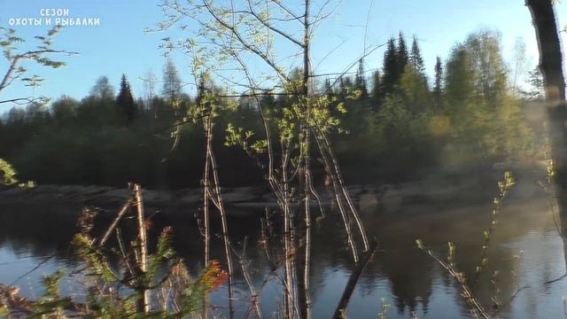 Моя первая прикормка и рыбалка на фидер. Ловил карася, а поймал хариуса. Рыбалка в Республике Коми. смотреть онлайн