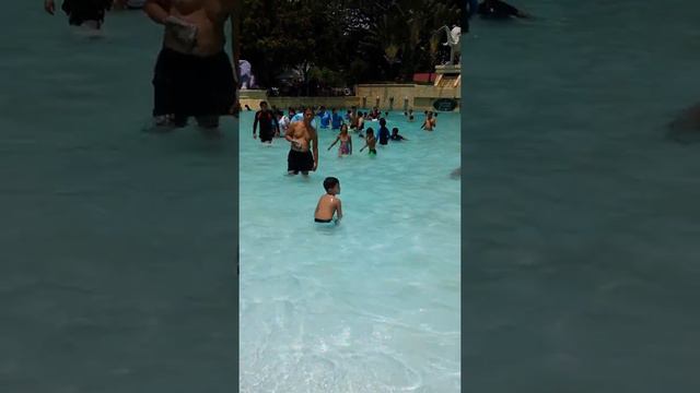 fontana summer 2014 смотреть онлайн