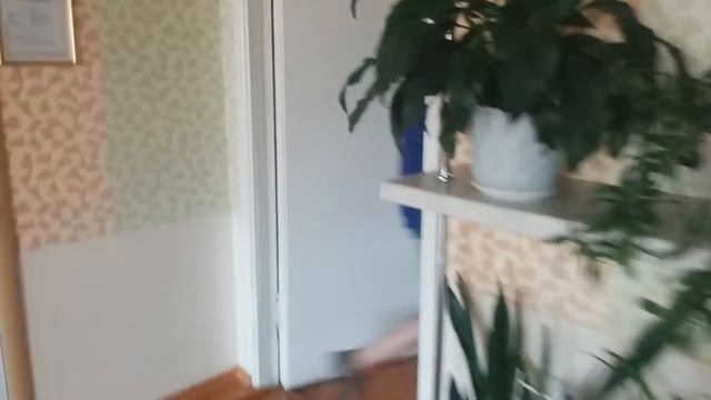 ЛЕТО, КОРОЧЕ. смотреть онлайн