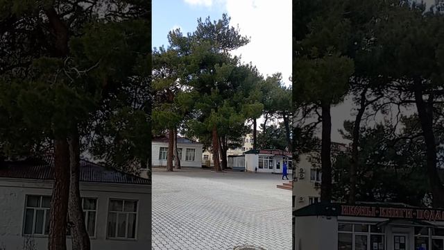 Авторское стихотворение Елены Аланиной " Поэтам ЛИТО " Орфей" посвящается! " Геленджик. смотреть онлайн