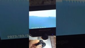 Не выбрасывай неисправный датчик угла поворота BMW E53, E39, E46, лучше отдай его мне?