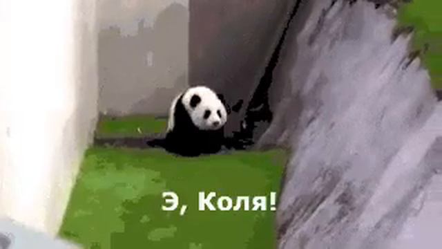 ТУТ ДАЖЕ У ХРУЩЕВА БЫ ГЛАЗА НА ЛОБ ПОЛЕЗЛИ,ВЫ ЭТО ВООБЩЕ ВИДЕЛИ!!! смотреть онлайн