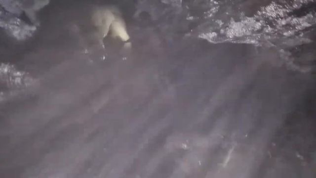 Сочи. Аше. Пещера ведьм. Горная река. смотреть онлайн