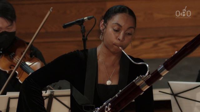 Vivaldi. Bassoon Concerto in E minor смотреть онлайн
