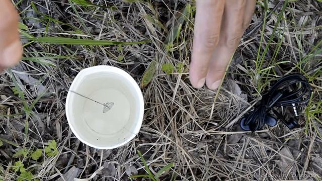 определение сторон горизонта. примитивный компас из телефонной гарнитуры смотреть онлайн