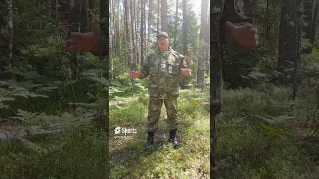 Камуфляж для всей семьи, плюс огромные размеры. смотреть онлайн