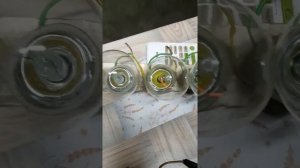 Обогреватель из 4х ламп с потреблением 8ватт