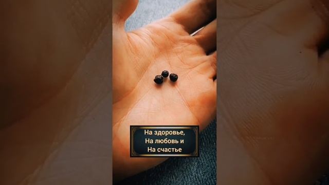 заговоры обряды ритуалы молитвы полезные советы принимайте пожалуйста смотреть онлайн