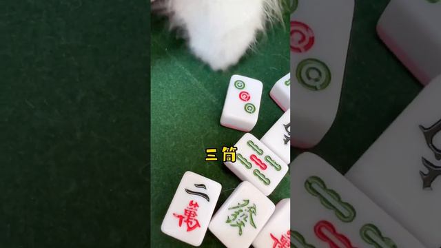 大過年我等到花兒都謝了! #搞笑 #攻略 #麻將 #麻將技巧#美女#嚦咕麻將#麻將日常 смотреть онлайн