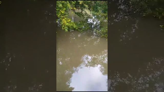 Сброс производственных отходов 21 сентября 2023 года смотреть онлайн