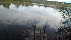 Рыбалка на реке Медведица Михайловка