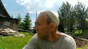 Размножаю боярышник воздушными отводками.