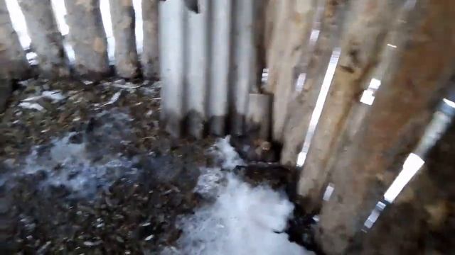 Готовим гнезда для гусей. смотреть онлайн