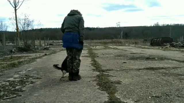 Готовим с Амуром базу для команд смотреть онлайн