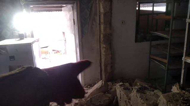 Рассадник економ вариант. Планировка.Уборка смотреть онлайн