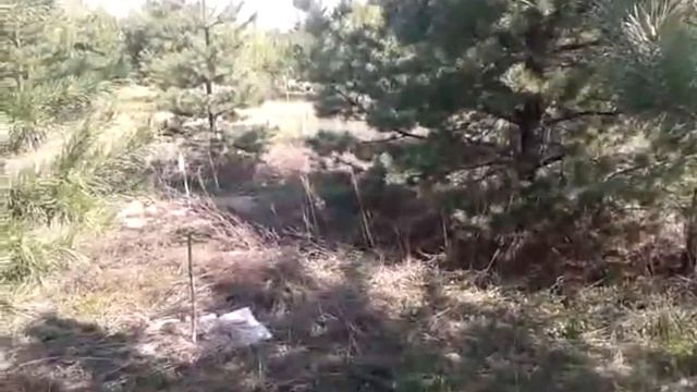 16 05 02 акация смотреть онлайн