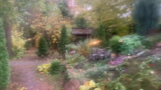 Розы почти готовы к зиме, Зеркало в саду!!! смотреть онлайн