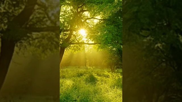 Миссия собора Отрасли смотреть онлайн