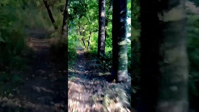 Ninebot Z10 autumn time смотреть онлайн